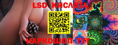 скорость Гатчина