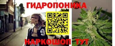 винт Гусь-Хрустальный