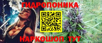 скорость Гатчина