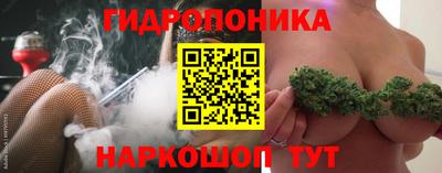 гидра Гагарин
