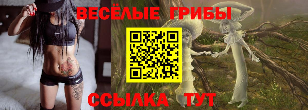 Псилоцибиновые грибы MAGIC MUSHROOMS Михайловск