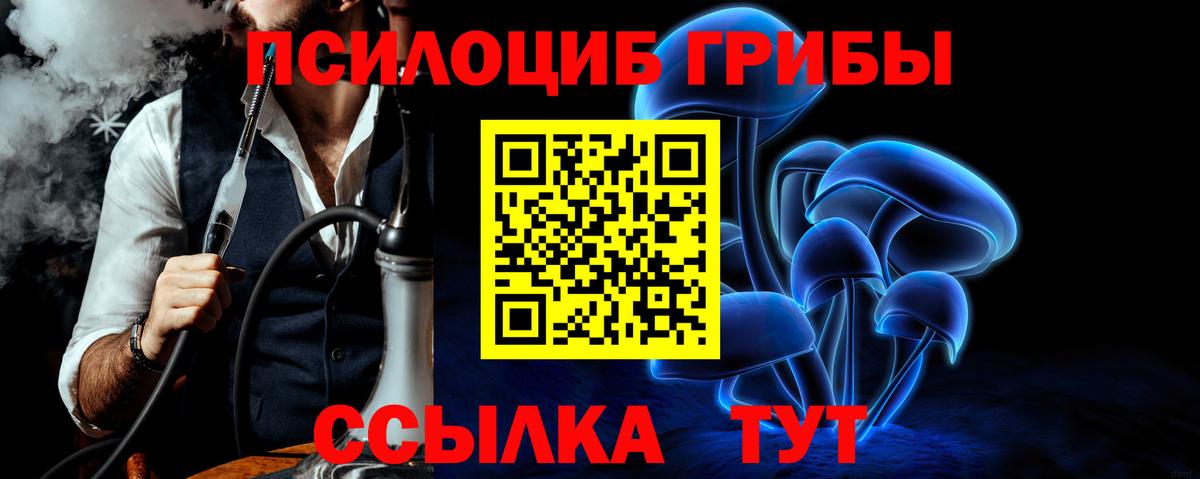 Михайловск  Галлюциногенные грибы GOLDEN TEACHER  Вход с VPN 